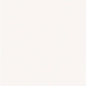 Women’s Clothing Lot